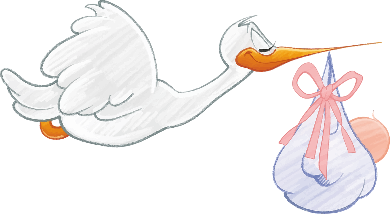 Stork delivering a baby